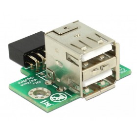 DELOCK αντάπτορας USB 2.0 9 pin header (F) σε 2x USB (F) 41429, 2.54mm
