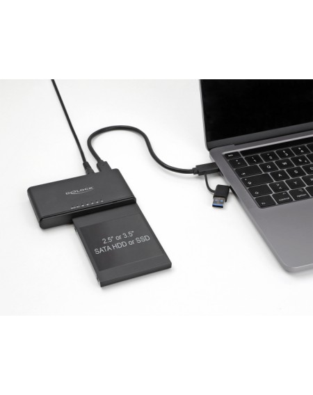 DELOCK converter USB-C σε M.2 & SATA SSD/HDD 64190 με λειτουργία κλώνου