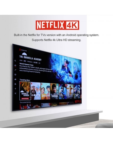 TV Box HAKOMiNi, Google/Netflix certificate, 4/32GB 4K, WiFi, Android 11