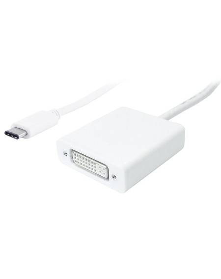 POWERTECH αντάπτορας USB Type-C σε DVI PTH-036, 4K, λευκό