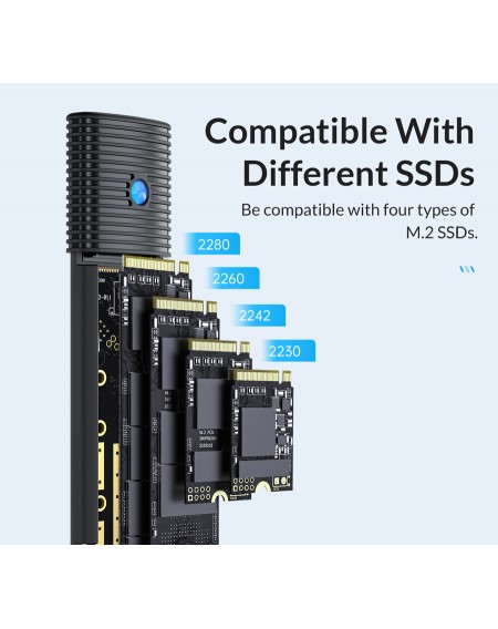 ORICO θήκη για Μ.2 NVMe SSD PWM2-G2-BK-EP, 10Gbps, έως 4TB, μαύρη
