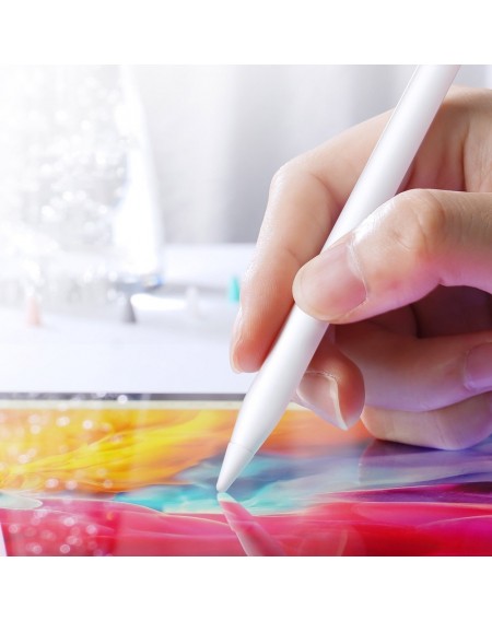 Dux Ducis 10x Nibs Writing Case Cover for Apple Pencil 2 / 1 multicolour