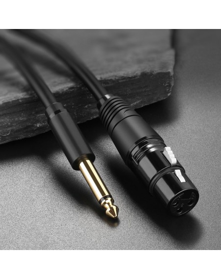Ugreen audio cable Microphone cable to Mic XLR (female) - 6.35 mm jack (male) 5 m (AV131)