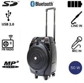 Akai SS023A-X10 Φορητό ηχείο Bluetooth με ενισχυτή, USB, SD, ασ. μικρόφωνο και ρόδες – 50 W RMS